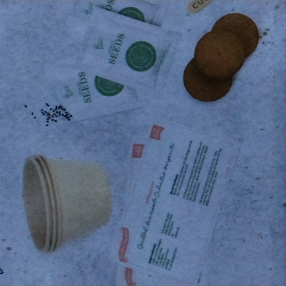 The Tipsy Gardener Botanical Margarita Grow Kit CILANTRO, CUCUMBER & LIM… - Picture 5 of 5